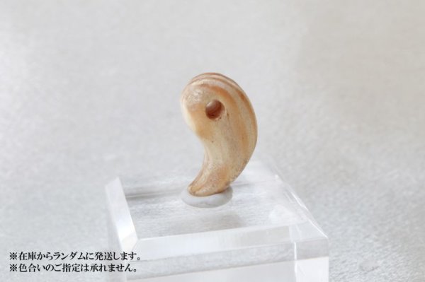 画像3: 【バースデーウッド】勾玉 1月の誕生木 松(まつ) 白 日本製 荘厳 永遠 繁栄 パワーズウッド 品番:12833 (3)