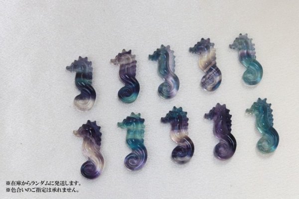 画像5: ルース フローライト タツノオトシゴ型 インテリア 癒し 浄化 置物 彫り物 品番:12124 (5)