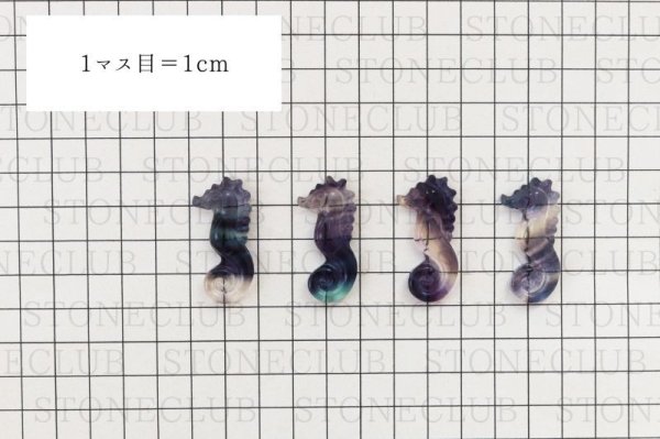 画像6: ルース フローライト タツノオトシゴ型 インテリア 癒し 浄化 置物 彫り物 品番:12124 (6)
