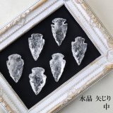 70726f647563742f32303230313032