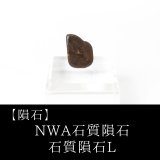 隕石】サハラNWA869隕石 L4-6コンドライト サハラ砂漠産 2000年 隕石】サハラNWA869隕石 L4-6コンドライト サハラ砂漠産 2000年