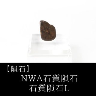 Yahoo!オークション - 昇藤 新疆発掘 鉄隕石 重量 約5.6kg