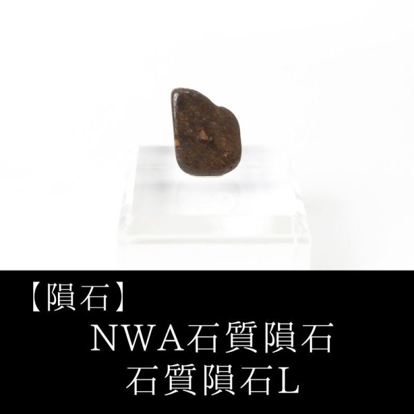 画像1: 【隕石】NWA石質隕石　石質隕石L　モロッコ産　品番：13054 (1)