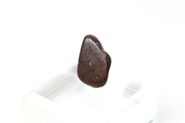 画像3: 【隕石】NWA石質隕石 石質隕石L モロッコ産 品番:13054 (3)