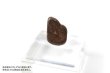 画像4: 【隕石】NWA石質隕石　石質隕石L　モロッコ産　品番：13054 (4)