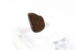 画像2: 【隕石】NWA石質隕石　石質隕石L　モロッコ産　品番：13054 (2)