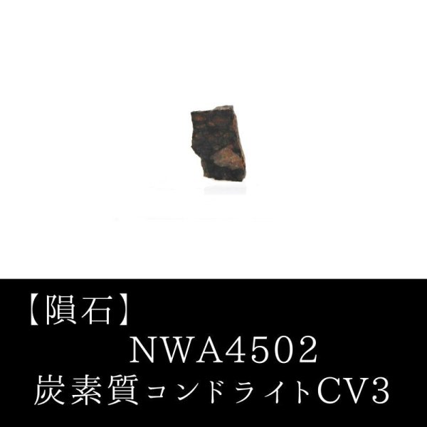 画像1: 【隕石】NWA4502　炭素質コンドライトCV3　アルジェリア産　2005年　品番：13061 (1)