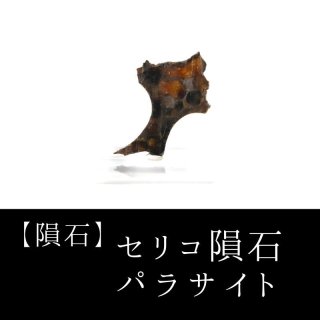 隕石】セリコ隕石 パラサイト ケニア産 2017年08月03日 品番