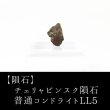画像1: 【隕石】チェリャビンスク隕石　普通コンドライトLL5　ロシア産　2013年02月15日　品番：13064 (1)