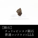 隕石】NWA石質隕石 石質隕石L モロッコ産 品番：1305413054｜置物