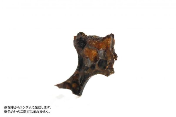 画像3: 【隕石】セリコ隕石 パラサイト ケニア産 2017年08月03日 品番:13059 (3)