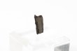 画像2: 【隕石】南丹隕石　IABオクタへドライト　中国産　1516年　品番：13058 (2)