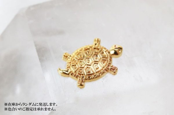 画像5: お財布銭亀 金亀 きんかめ 開運 幸運 財運 健康 長寿 財産 強化 お守り 品番:13169 (5)