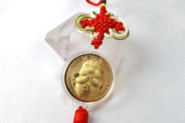 画像2: 【現品限り】縁起メダル 壁掛け 福丑 円型 風水 金貨 えんぎ 縁起物 開運 金運 お守り 品番:13260 (2)