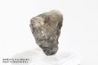画像5: 置物　原石　フェナカイト　約11g　ロシア産　不変　完全　達成　希少　レア　【一点物】　品番： 13435 (5)