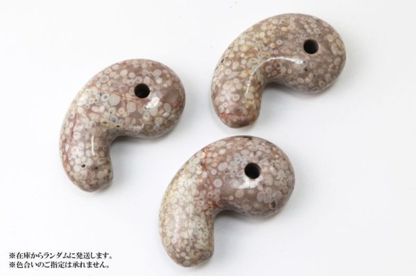 画像5: 勾玉 フォシルコーラル 約80×50×25mm 横穴あり マダガスカル産 珊瑚の化石 浄化 癒し お守り 品番: 13451 (5)
