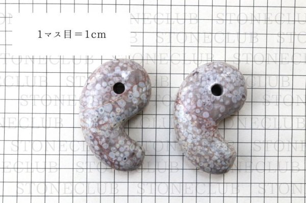 画像6: 勾玉 フォシルコーラル 約80×50×25mm 横穴あり マダガスカル産 珊瑚の化石 浄化 癒し お守り 品番: 13451 (6)
