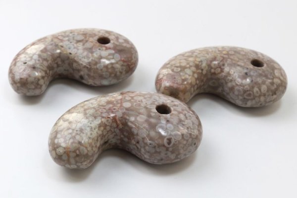 画像3: 勾玉 フォシルコーラル 約80×50×25mm 横穴あり マダガスカル産 珊瑚の化石 浄化 癒し お守り 品番: 13451 (3)