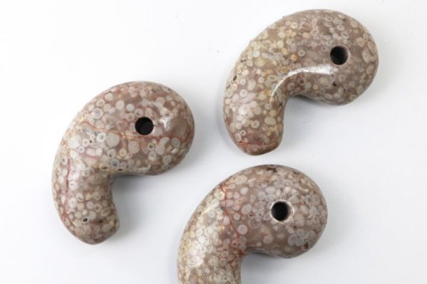画像2: 勾玉 フォシルコーラル 約80×50×25mm 横穴あり マダガスカル産 珊瑚の化石 浄化 癒し お守り 品番: 13451 (2)