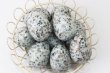 画像2: 置物　玉子　天山ブルー　たまご　卵　安定感　緊張感　洞察力　サポート　エネルギー　天然石　品番：13540 (2)
