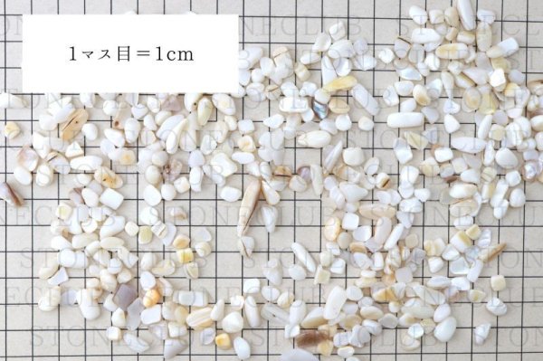 画像4: さざれ シェル オリジナルパッケージ付 100gパック 浄化 直感力 想像力 エネルギー 品番:13698 (4)
