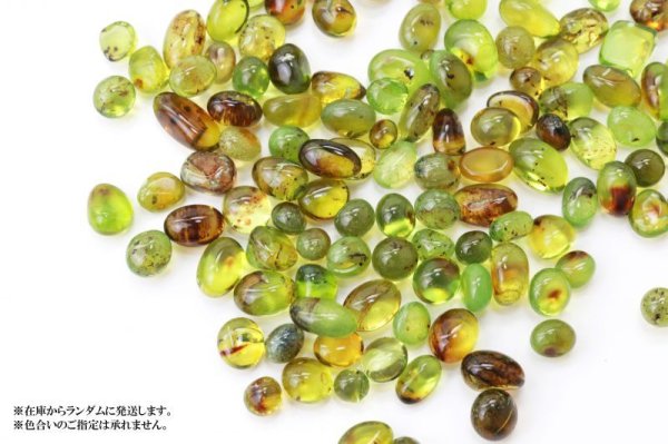画像4: さざれ 天然グリーンアンバー MIX 10g リトアニア産 魔除け 前向き 守護石 希少性 エネルギー パワーストーン レア 品番:13715 (4)