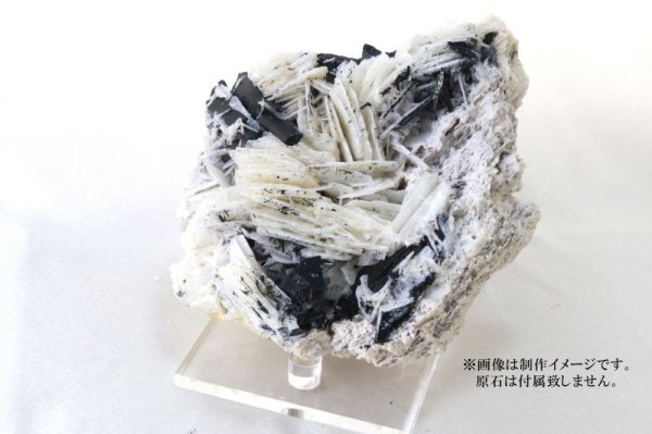 画像4: ディスプレイ 台座 アクリル製 大 約11×11cm 1個 スタンド インテリア 品番: 13800 (4)