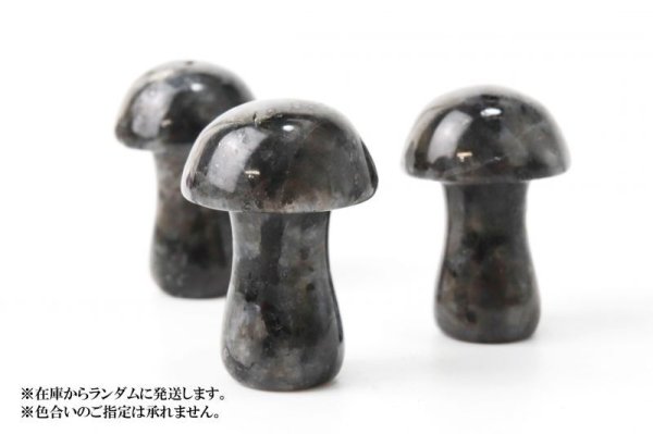 画像3: 置物 彫り物 キノコ ラルビカイト 知性 合理性を高める お守り パワーストーン インテリア 天然石 品番:13933 (3)