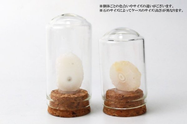 画像5: 置物 ミニ原石 ソーラークォーツ 水晶 アゲート 浄化 疲労回復 インテリア 品番:13838 (5)