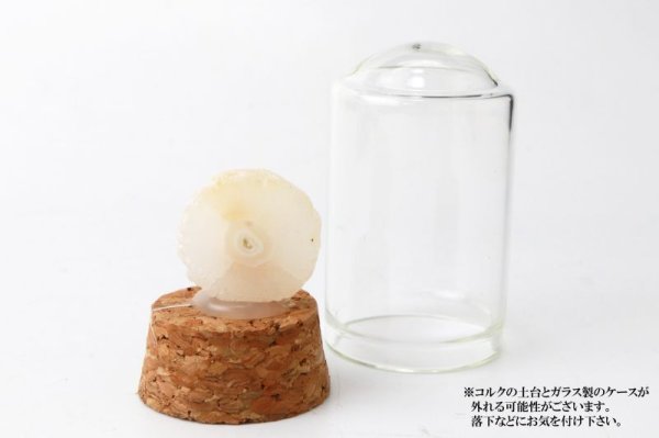 画像4: 置物 ミニ原石 ソーラークォーツ 水晶 アゲート 浄化 疲労回復 インテリア 品番:13838 (4)