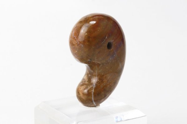 画像3: 【日本銘石】勾玉 佐渡 油布黄玉 〈新潟県〉 黄 約33×22×13mm 活力 精神力 洞察力 品番:14105 (3)