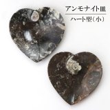 アンモナイト 小皿 アンモナイト型 右巻き インテリア 化石