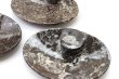 画像4: アンモナイト　小皿　楕円型　インテリア　化石　ディスプレイ　浄化　約12x9cm　1枚　品番： 14243 (4)