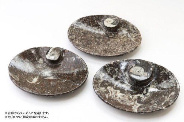 画像5: アンモナイト 小皿 楕円型 インテリア 化石 ディスプレイ 浄化 約12x9cm 1枚 品番: 14243 (5)