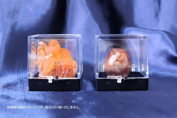 画像4: ディスプレイ 鉱物用クリアケース 約3.5×3.5cm 1個 プラスチック 透明 保管 品番: 14509 (4)