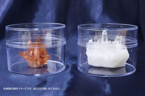 画像4: ディスプレイ 鉱物用クリアケース 丸型 1個 プラスチック 透明 保管 品番: 14508 (4)