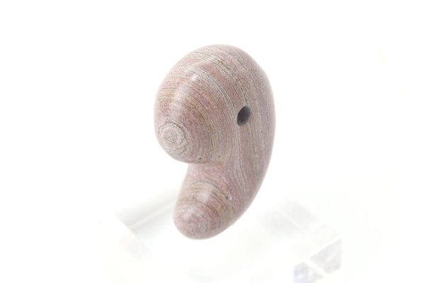画像2: 【日本銘石】勾玉 新潟チャート 〈新潟県〉 約30mm 時間を巻き戻す 再スタート 成功 品番: 14651 (2)