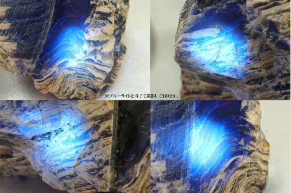 画像9: 原石 タイガーアンバー スマトラ産 希少 変化 変容 置物 天然石 品番: 14994 (9)
