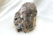 画像5: 原石　タイガーアンバー　スマトラ産　希少　変化　変容　置物　天然石　品番： 14994 (5)