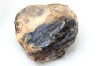 画像3: 原石　ブルーアンバー　スマトラ産　希少　変化　変容　置物　天然石　品番： 14992 (3)