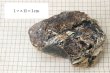 画像10: 原石　タイガーアンバー　スマトラ産　希少　変化　変容　置物　天然石　品番： 14994 (10)