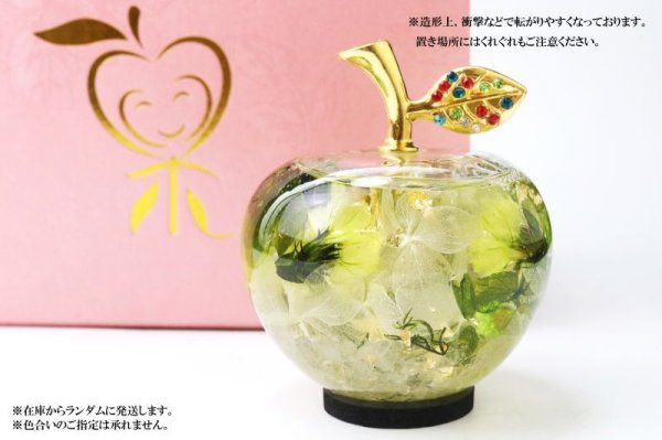 画像6: 置物 ハーバリウム ミニリンゴ 緑 グリーン 水晶 さざれ石入り クォーツ 再生 毒素の排除 調和 風水 開運 運気上昇 浄化 アップル インテリア 品番: 15263 (6)