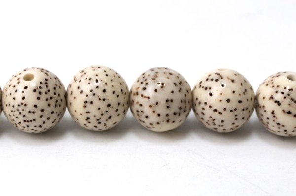 画像2: 【パワーズウッド】連 星月菩提樹 約8mm 無数の福 調和 高い意志に導く力 天然木 品番:15321 (2)