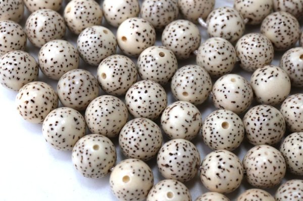 画像3: 【パワーズウッド】連 星月菩提樹 約8mm 無数の福 調和 高い意志に導く力 天然木 品番:15321 (3)