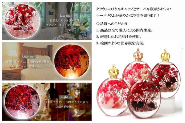 画像8: 【割引不可】【売り切れ御免】大特価!置物 ハーバリウム ピクチャリウム レッド ストロベリークォーツ ゴールド GD ギフトボックス付き インテリア 天然石 ※割引クーポン・ポイント付与対象外 品番:15424 (8)