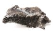 画像5: 【隕石】シホーテ・アリン隕石　約75g　オクタヘドライト　ロシア産　1947年2月12日　エネルギー　知恵　情報　生命　[一点物]　品番：15492 (5)