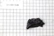 画像7: 【隕石】シホーテ・アリン隕石　約75g　オクタヘドライト　ロシア産　1947年2月12日　エネルギー　知恵　情報　生命　[一点物]　品番：15492 (7)