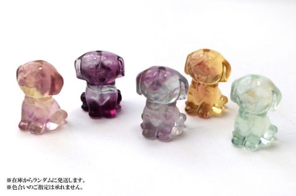 画像6: 置物 ミニ彫り物 フローライト シーズー(貫通穴) 1個 忠実 忠義 邪気を払う 癒し 浄化 天然石 品番: 15550 (6)