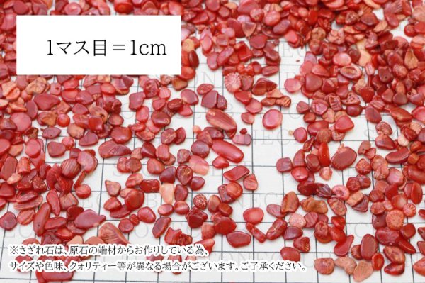 画像2: さざれ 赤サンゴ コーラル 珊瑚 オリジナルパッケージ付 100gパック  品番: 10471 (2)