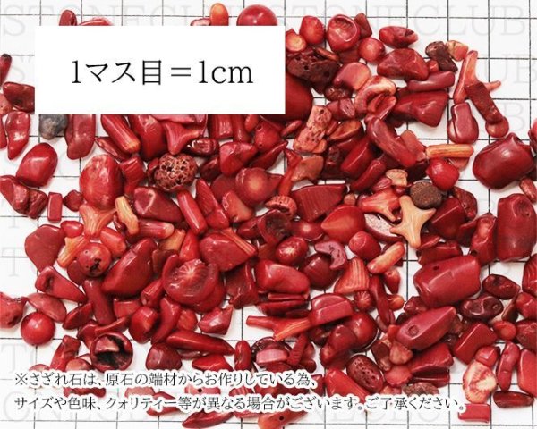 画像3: さざれ 赤サンゴ コーラル 珊瑚 オリジナルパッケージ付 100gパック  品番: 10471 (3)